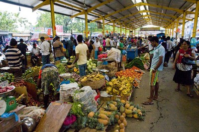 Marktleben in Colombo